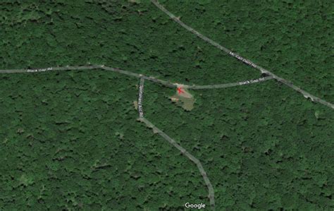 Bald Eagle State Forest - Trail Rider's Path