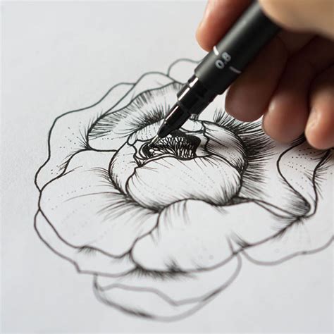 آموزش نقاشی گل ساده با راپید Draw A Beautiful Peony قلمتراش