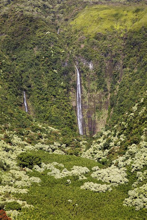 Waimoku Falls Photograph By Jenna Szerlag Pixels