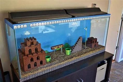 17 Next Level Aquariums That Are Out Of This World Wow Gallery