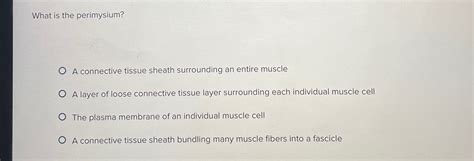 Perimysium Is The Connective Tissue Sheath Surrounding A Fascicle.