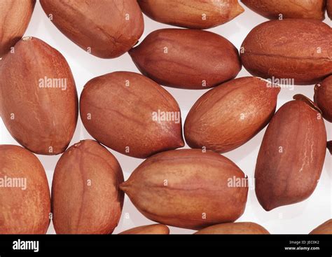 Peanuts Arachis Hypogaea White Background Stock Photo Alamy