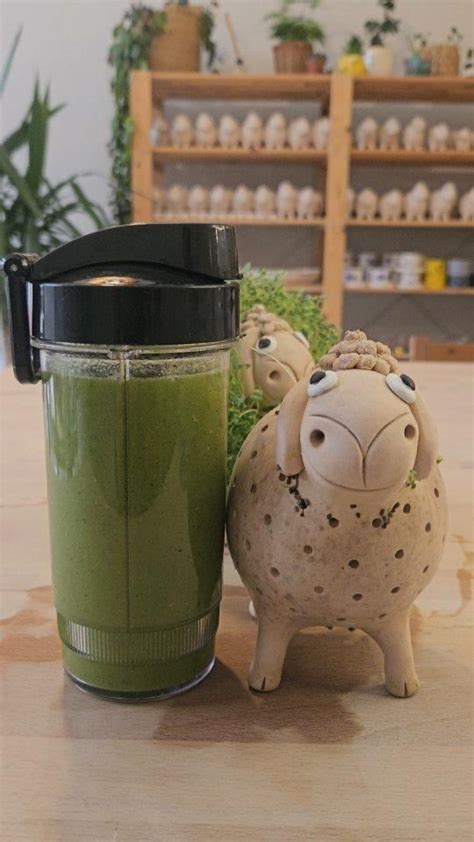 power packed smoothie  chia kos lush green sprouts natural