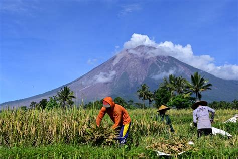 Urutan Gunung Tertinggi Di Jawa Homecare24