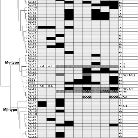 Pdf An Atlas Of Type I Mads Box Gene Expression During Female