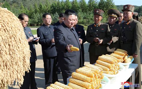 Why North Korea is facing a major food shortage that could lead to the