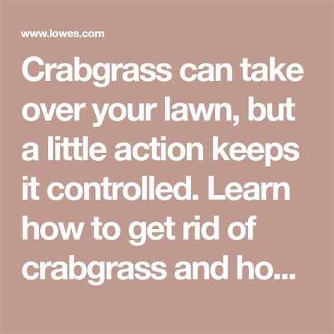 How To Get Rid Of Crabgrass Prevent And Control Crabgrass Crab Grass