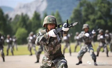 征兵携笔从戎浩气长、抱才入军戍八方 学生工作网