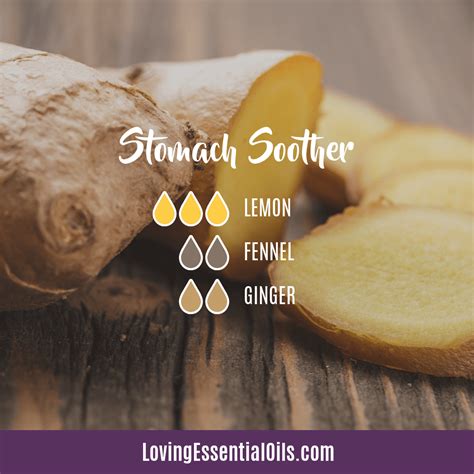 Fennel Essential Oil Blends Well With Diffuser Benefits Loving