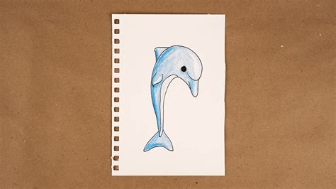 How To Easily Draw A Dolphin Wiki Drawing Sea Creatures