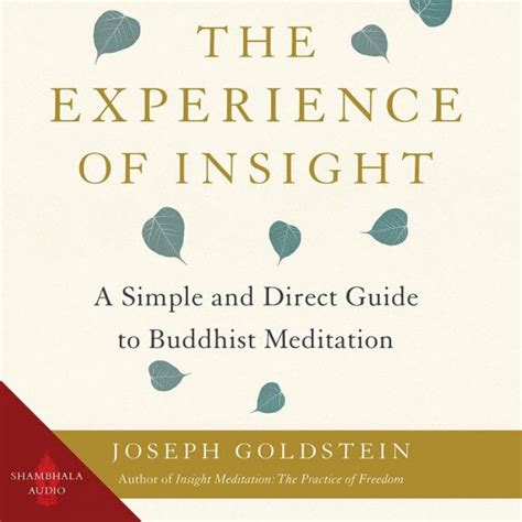 The Experience Of Insight A Simple And Direct Guide To Buddhist Meditation 9781645470373