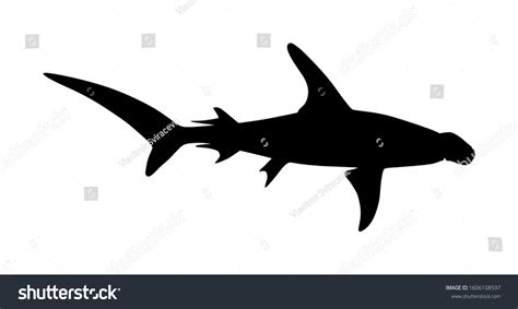 Hammerhead shark vector silhouette illustration - Royalty Free Stock ...