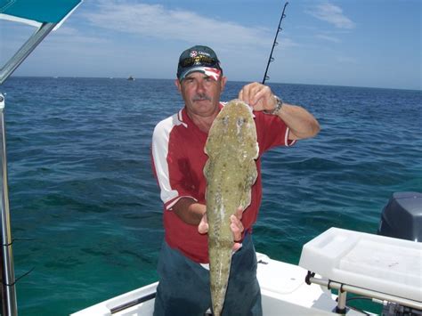 flat head fishing fishwreckedcom fishing wa fishing