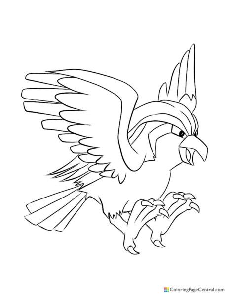 Pidgeot Coloring Page Central Coloring Nation