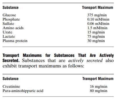 Tubular Reabsorption Includes Passive And Active Mechanisms