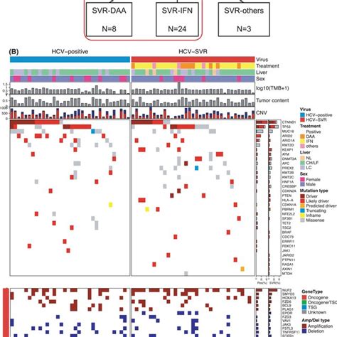 Genetic Alterations In HCC After HCVSVR According To Treatment For