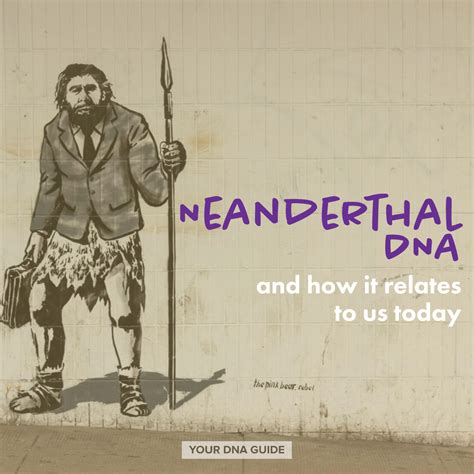 Neanderthal DNA: What Is it and How Does it Relate to Us Today? - Your ...