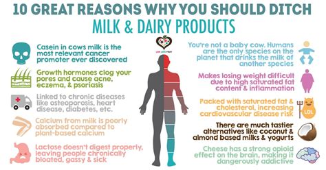 What Is The Problem With Cow S Milk And Dairy Evolving Wellness