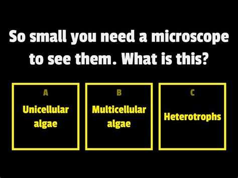 Protoctista Kingdom - Quiz