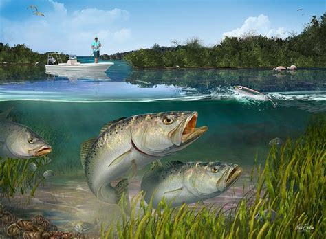 Speckled trout fishing art print by artist, Mark Erickson