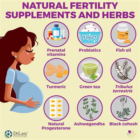 Fertiltiy Supplements That Encourage Reproductive Health