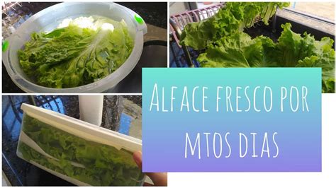 Como Conservar O Alface - Como conservar o alface por mais tempo - YouTube