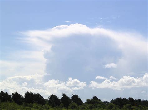 Free Images Nature Horizon Cloud Sky White Field Meadow