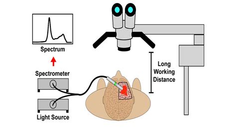 Image Guided Cancer Surgery Nie Lab