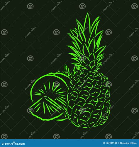 Image Of Pineapple Fruit Vector Black And White Illustration Stock Vector Illustration Of