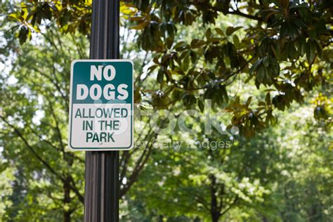 No Dogs Allowed In Park Stock Photo | Royalty-Free | FreeImages