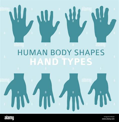 Human Body Shapes Hand Types Icon Set Vector Illustration Stock