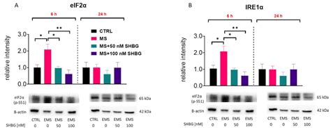 Cells Free Full Text Sex Hormone Binding Globulin Shbg Mitigates