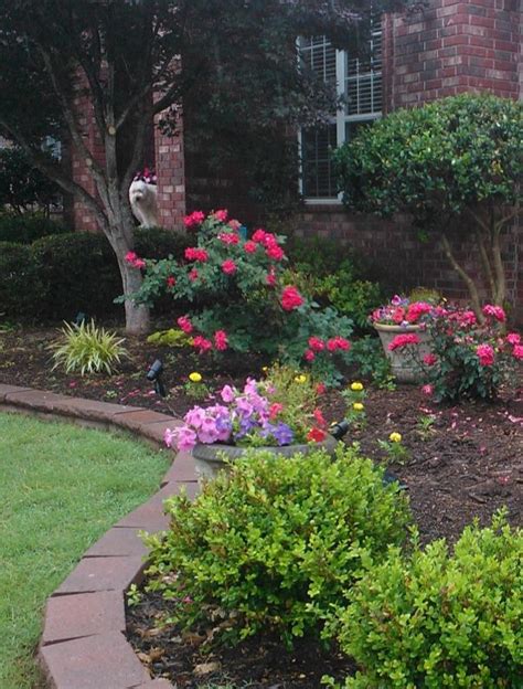 Roses In The Front Yard Front Yard Landscaping Design Cheap