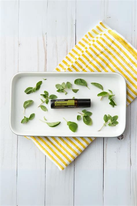 Doterra Oregano Touch Roll On Dōterra Essential Oils Home Essential