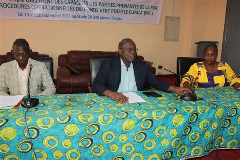 Centrafrique Atelier De Renforcement Des Capacites Des Acteurs