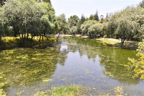 El Ayuntamiento De Apetatitl N Invita A Recorrer Las Reservas Ecol Gicas