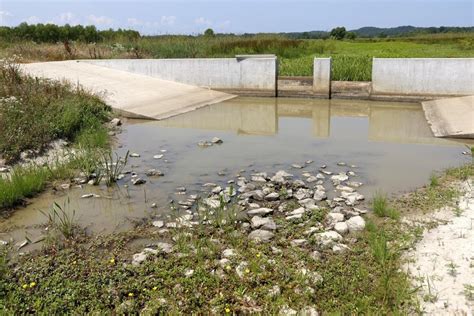 Invasive northern snakehead fish found in southeastern Missouri for second time - Richmond News