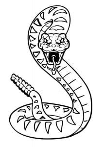 Coloriages Serpents Sonnette Imprimable Gratuit Pour Les Enfants