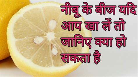 नींबू के बीज के नुकसानnimbu Ke Beej Ke Nuksan Youtube