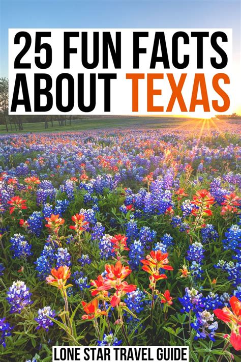 25 Fun Facts About Texas | Fun facts about texas, United states travel ...