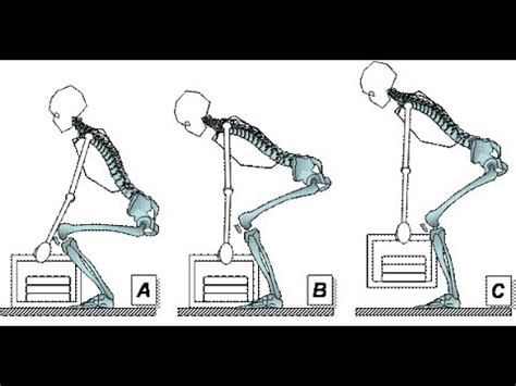 Dica Como Agachar Para Carregar Peso Estrat Gia Biomec Nica Cl Nica