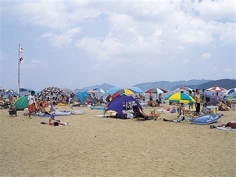 関西のおすすめのビーチ・海水浴場【2024年版】 期間やイベント、海の家の軒数など情報満載｜まっぷるウェブ