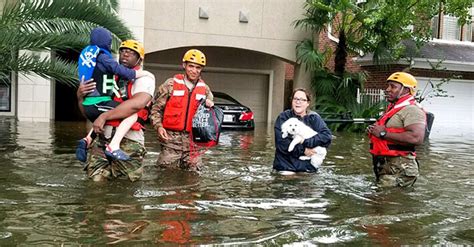 Hurricane Harvey Has Left Thousands Of Animals In Crisis The Animal