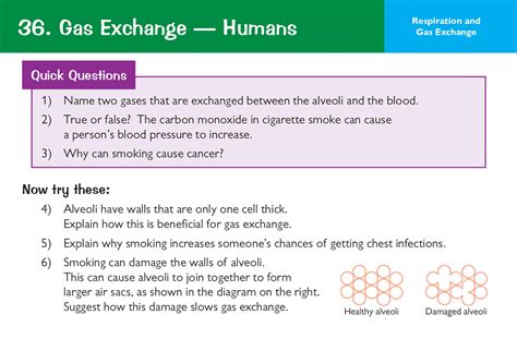 New Grade 9 1 Edexcel International GCSE Biology Revision Question