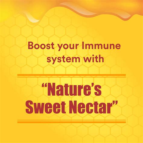 Buy Baidyanath Nagpur Honey Natural Immunity Booster Kg Online Get