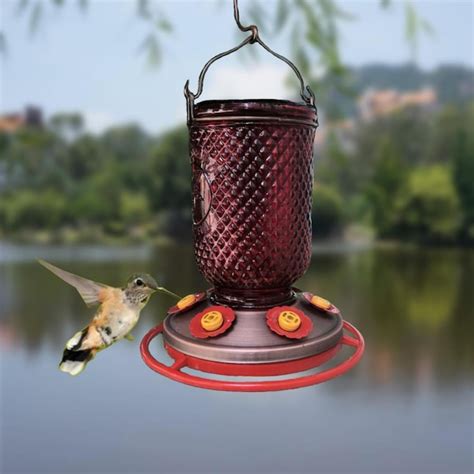 Style Selections Glass Hanging Squirrel Resistant Hummingbird Feeder 32 Oz Hbf033 R At