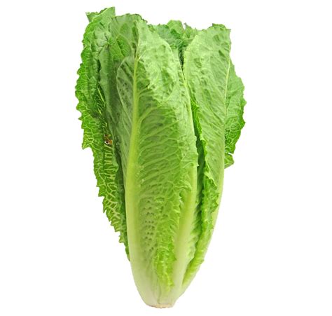 Lechuga Romana Verduras Foto Gratis En Pixabay