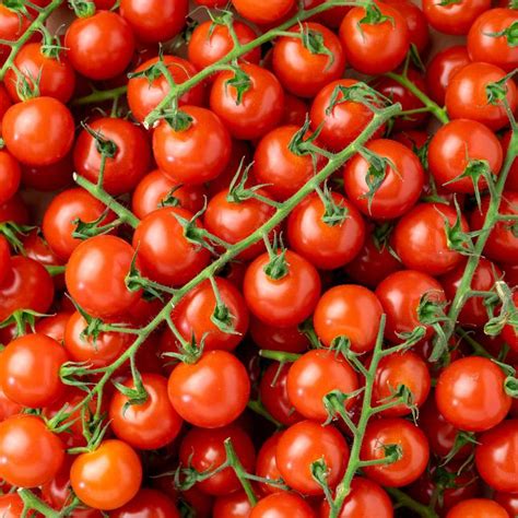 La Tomate cerise grappe en barquette de 350g mon marché fr