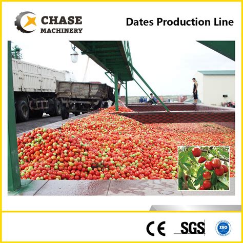 Aseptic Dates Fruit Jam Processing Machine From Shanghai Chase Jam