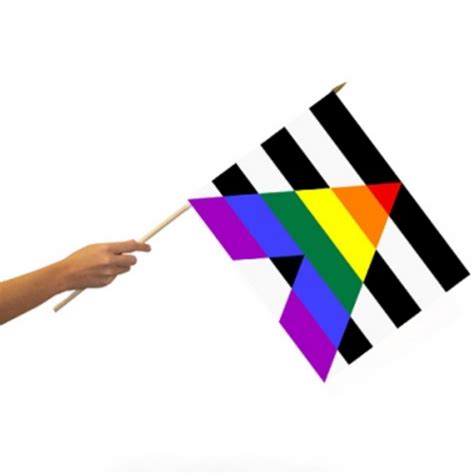 Straight Ally Pride Flag On A Stick Full Circle Ts And Goods